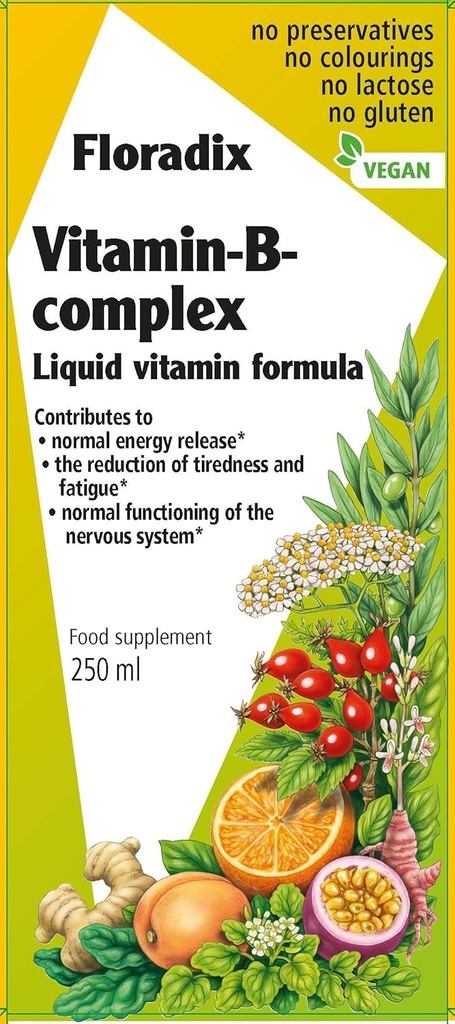 Floradix Vitamine B Formule liquide complexe, 250 ml