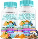 10-en-1 Immune Support avec Elderberry, D3, Sélénium, Quercetin, Zinc, Vitamine C, Ginger, Curcumine Turmère, B6, Echinacea – Immune Defense – Fabriqué aux États-Unis (60 comte (paquet de 2))
