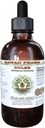 Extrait liquide sans alcool d'pulse (Palmaria Palmata) Feuille séchée Glycérite Hawaii Pharm supplément naturel à base de plantes 2 oz