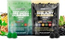 Hercules Holistic Moss & pur Himalayan Shilajit Gummies Or , 100% naturel végétalien biologique , Non ajouté sucre , Ashwagandha Tongkat Ali Ginseng Spiruline Moringa Manuka Honey , 60 Gummies 2 Pack