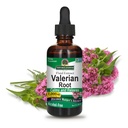 La réponse de la nature La racine valériane Promote le repos Le sommeil Calmes et Relaxés Super Concentré 1000mg , sans gluten, sans alcool, certifié Kosher & Vegan 2oz (paquet de 2)