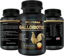 Gallobiotic Natural Multivitamin for Rooster, Hens - 100 Tablets | Vitamina Completas para Gallos