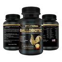 Multivitamine naturelle gallobiotique pour coqs, poules - 100 comprimés