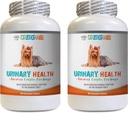 Soutien de la vésicule du chien - Formule de santé urinaire du chien - Aide avec l'incontinence et les problèmes de vésicule - Immune Boost - Supplément de canneberge du chien mâche - 2 bouteilles (180 traites)