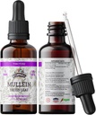 Extrait de teinture de moléine, moléine biologique (Verbascum densiflorum) Supplément à base de plantes séchées en glycérine végétale pressée à froid 670 mg