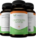 Cryptolepis Synergy, Vitamines de soutien immunitaire, Système immunitaire Booster pour adultes, foie, Lymphatique, et supplément de soutien immunitaire, soutient Lyme et la défense naturelle parasite, 120 Capsules, 3 Pack