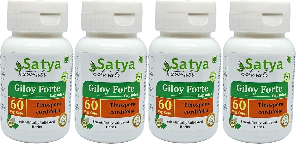 Giloy Forte Capsules 500 mg. 60 Veg. Capsules Guduchi (Tinospora Cordifolia) Capsules d'extrait pour hommes et femmes.