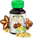 Andes Sacha Inchi Capsules (Plukenetia volubilis) - Source d'Oméga 3, 6, 9 avec des acides gras essentiels - Sans odeur et de source durable - Support de la fonction cérébrale - 60 pilules Softgel (1000mg)