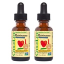 ESSENTIELS D'ENFANTS Echinacée pour enfants - Gouttes d'Echinacée pour enfants, Teinture liquide, Supplément sans alcool pour bébés, tout-petits, enfants - Orange naturelle, 1 Fl Oz (paquet de 2)