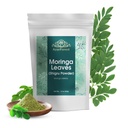 Moringa feuilles poudre oléifère feuille Shigru Great en boissons et smoothies 16 Ounce