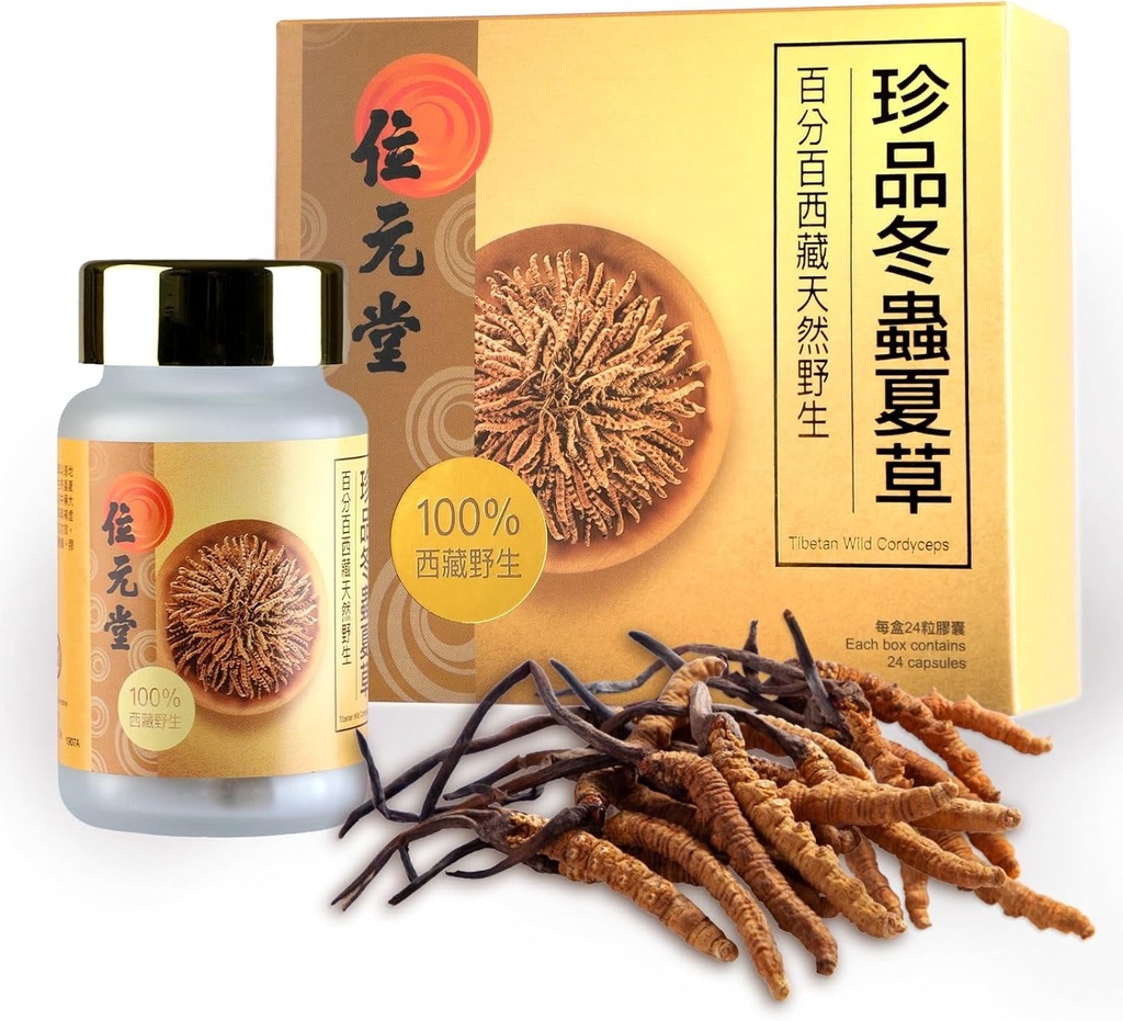 Capsules de Cordyceps Tibétains 100% Sauvages – Ground from Raw Cordyceps, Energy, Lung & Immune Support, 24 Capsules
