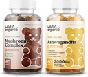Gummies de champignons sauvages et biologiques et Gummies d'Ashwagandha