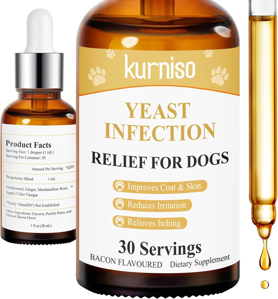 Infection naturelle de l'oreille des chiens