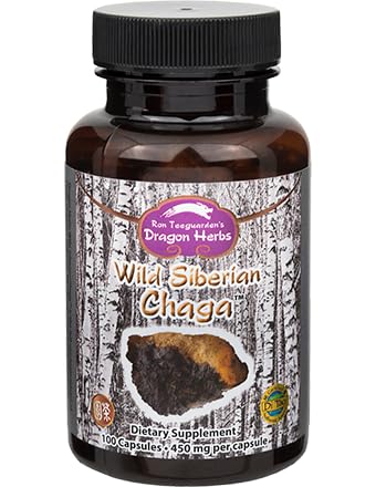 Dragon Herbs - Capsules de Chaga Sibérie Sauvage - 100 Capsules, 450 mg chacune