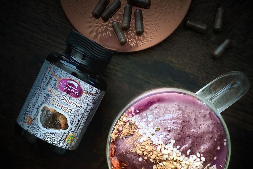 Dragon Herbs - Capsules de Chaga Sibérie Sauvage - 100 Capsules, 450 mg chacune