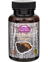 Dragon Herbs - Capsules de Chaga Sibérie Sauvage - 100 Capsules, 450 mg chacune