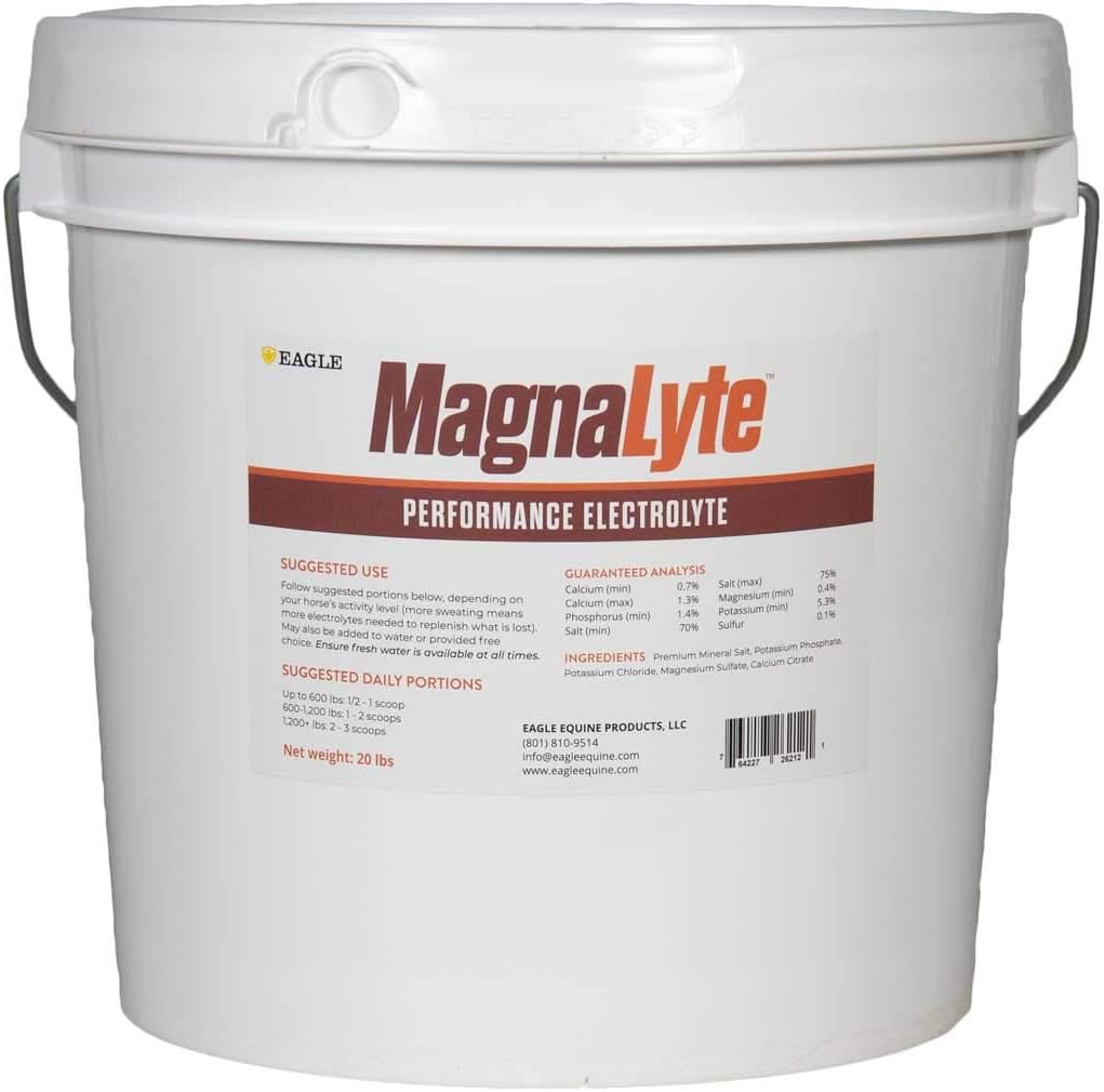 MagnaLyte de sel et d'électrolytes pour chevaux par Eagle Equine