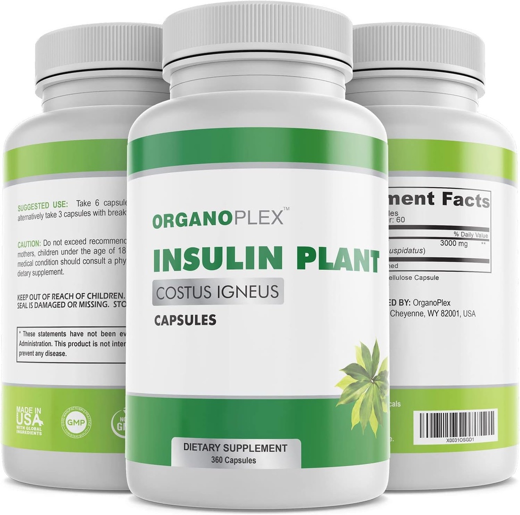 Capsules de plante d'insuline (Costus Igneus), Supplément 100% naturel, 360 capsules de légumes (2 mois d'approvisionnement) - Usine d'insuline
