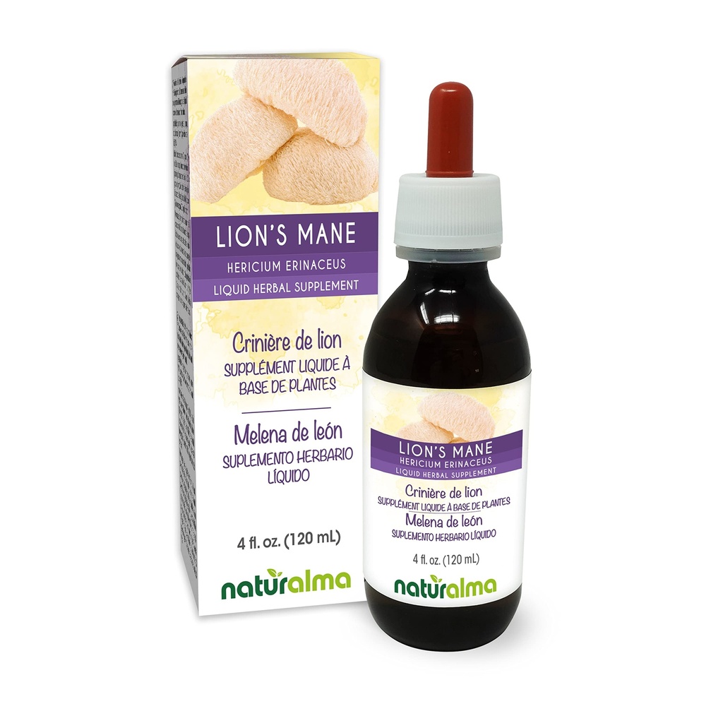 Naturalma Lion's Mane (Hericium erinaceus) Fongus ou champignons Teinture sans alcool - 4 fl oz extrait liquide dans les gouttes - supplément à base de plantes - végétalien