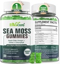 1Pack sans sucre de mousse de mer, supplément de gel de mousse d'Irlande extra-fort avec iode, chlorophylle, vinaigre de cidre non filtré, D3, racine de dard, Bladderwrack pour immune, digestif, peau, cheveux, Det.