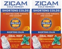 Zicam Cold Remedy Zinc Arctic Mint Oral Mist, 1 once (paquet de 2)