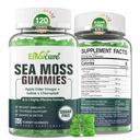 Supplément de gel de mousse de mer sans sucre, supplément de gel de mousse d'Irlande de force supplémentaire avec iode, chlorophylle, vinaigre de cidre de pomme non filtré, D3, racine de burdock, Bladderwrack pour immune, digestif, peau, cheveux, Det.