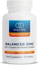 Equilife Balanced Zinc, 15 mg Zinc & Cuivre Co-Factor Complement Complex avec vitamine C et vitamine B6 pour l'immunité quotidienne et le bien-être, sans gluten, végétalien, non OGM, 60 capsules
