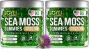 JOYLI Nutrition 2 Pack - Sea Moss Gummies for Adults & Kids – Vegan Irish Sea Moss Supplement with Bladderwrack & Burdock Root – Sugar-Free Immune Support Supplements - 60 Gummy Bears per Pack