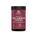 Ancient Nutrition Hydrolysed Collagen Peptides Poudre, Multi Collagène en poudre non aromatisé pour les femmes et les hommes avec vitamine C, 24 portions, soutient la peau et les ongles, Gut Health