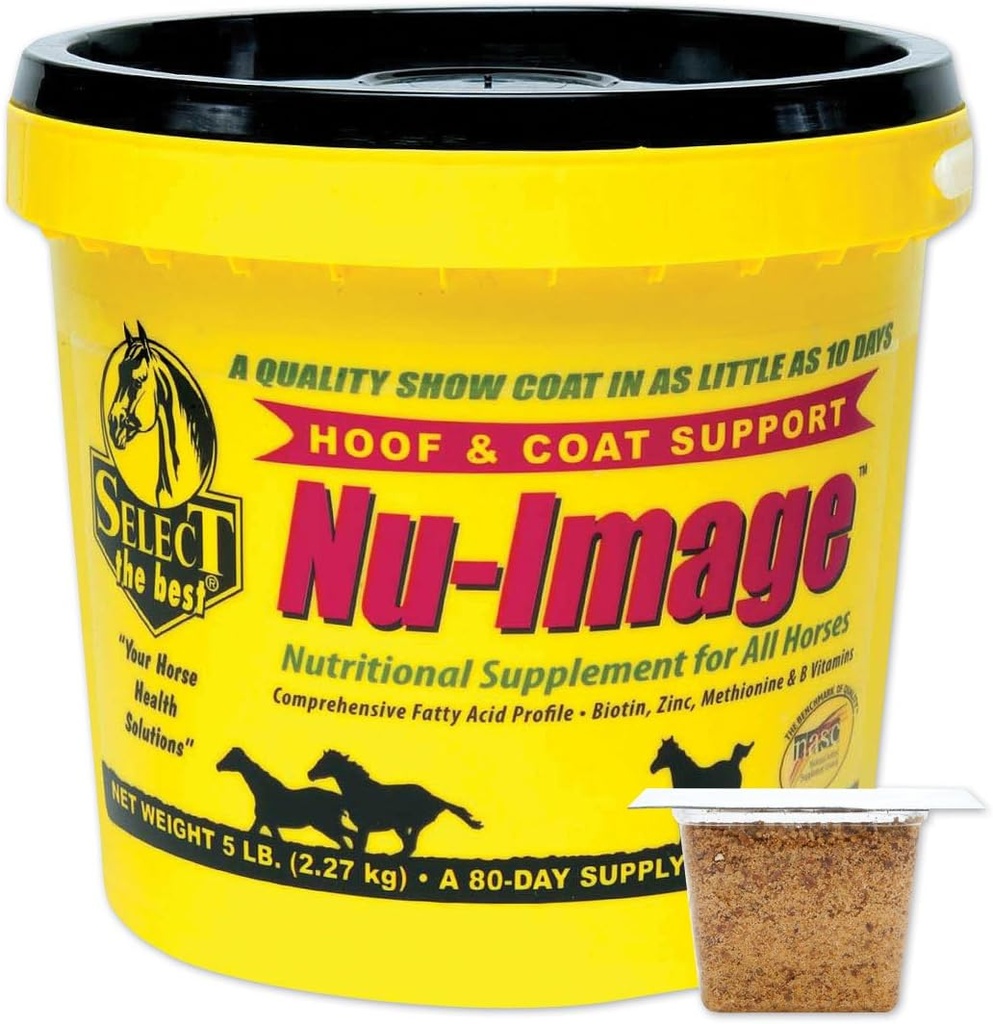 Sélectionnez le meilleur soutien pour les chevaux Nu-Image de Chevaux Noirs