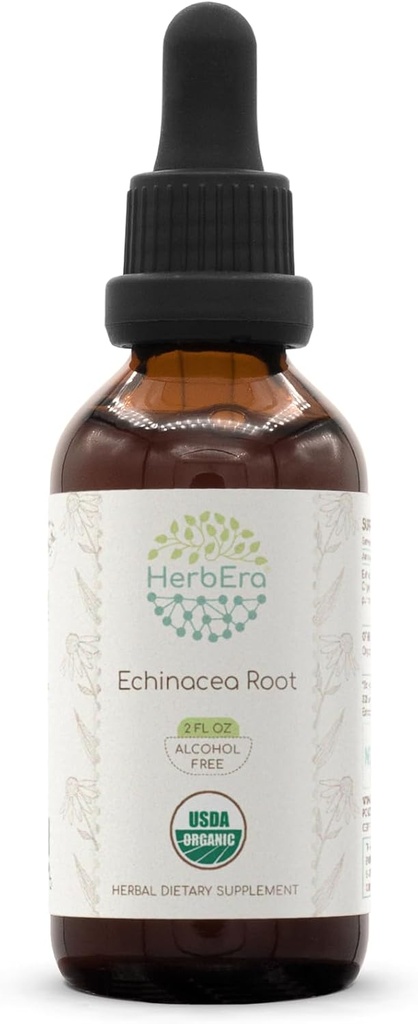 HerbEra Echinacea Root B60 USDA Teinture biologique (extrait sans alcool, gouttes à base de plantes de haute puissance, système immunitaire santé) Racine biologique certifiée Echinacea (Echinacea Purpurea) Racine séchée (2 fl oz)