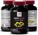Extrait d'antioxydant naturel - Extrait de Ginkgo BILOBA - Extrait à base de plantes Avantages, Ginkgo biloba Natural, Ginkgo biloba Leaf Extract Avantages, Produit antioxydant à base de plantes, Ginkgo 1 bouteille 60 capsules