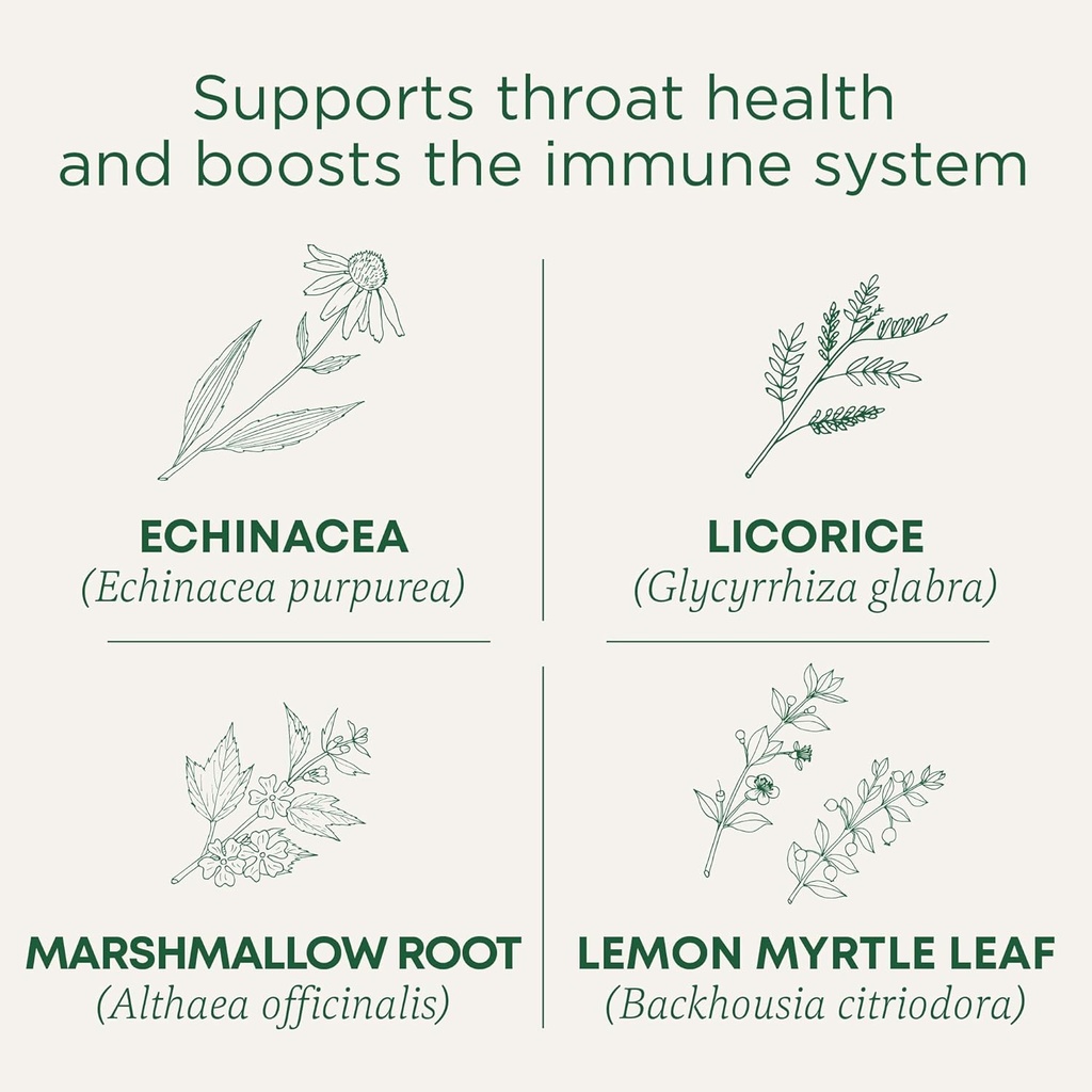 Médicaments traditionnels Lozenges, Manteau de gorge biologique Lemon Ginger Echinacea, Soutien à la gorge des plaies, 16 comtes (paquet de 2)