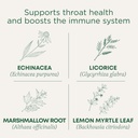 Médicaments traditionnels Lozenges, Manteau de gorge biologique Lemon Ginger Echinacea, Soutien à la gorge des plaies, 16 comtes (paquet de 2)