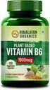 Vitamine à base de plantes B6--Appuye l'immunité, la santé du cerveau (120 capsules)