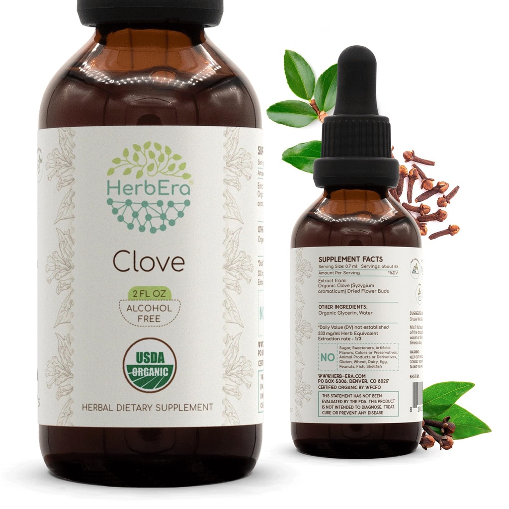 HerbEra Clove B60 USDA Teinture organique (extrait sans alcool, gouttes à base de plantes à haute puissance, système immunitaire santé) Clove biologique certifié (Syzygium Aromaticum) Bouds de fleurs séchés (2 fl oz)