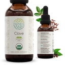 HerbEra Clove B60 USDA Teinture organique (extrait sans alcool, gouttes à base de plantes à haute puissance, système immunitaire santé) Clove biologique certifié (Syzygium Aromaticum) Bouds de fleurs séchés (2 fl oz)