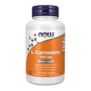 MAINTENANT Aliments suppléments, L-Carnosine (Beta-Alanyl-L-Histidine) 500 mg, Vieillissement en santé, 100 gélules