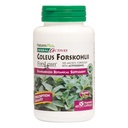 NaturesPlus Herbal Actives Coleus Forskohlii - 60 capsules végétariennes - Sans gluten - 60 portions