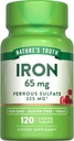 Nature's Truth Iron Supplement (Supplément de fer) 65 mg 120 Comprimés 325 mg Sulfate de fer) Non-OGM et pilules sans gluten