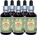 PAU d'arco (Tabebuia Impettiginosa) Glycérite, extrait liquide sans alcool séché à l'écorce (marque: HerbalTerra, fièrement fabriqué aux États-Unis) 5x2 fl.oz (5x60 ml)