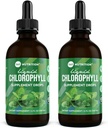 360 Nutrition Chlorophylle gouttes liquides avec huile de menthe poivrée, supplément de déodorant interne du corps GF et végétalien, soutient la santé gustative, la digestion, l'énergie, la peau radiante, l'absorption rapide (4 Fl Oz (2 comte))