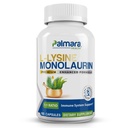 Palmara Health L-Lysine + Monolaurin 600mg 1:1 Rapport, 1 boîte, 100 capsules