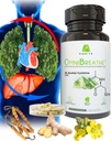 OMNIBREATHE - Amélioration rapide des problèmes respiratoires par NAC 600MG Formulé scientifiquement w. Quercetin/Mullein/Coq 10/Ginger/Stinging Nettle/Bromelain, 3 fois w. Repas (10 jours de ravitaillement pour stimuler)