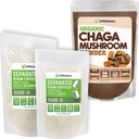 XPRS Nutra Taille séparée 0 Capsules (1000 Nombre) avec la poudre de Chaga (8 Once)
