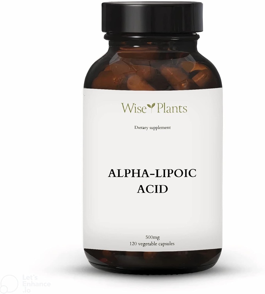 Acide alpha-lipoïque - non-OGM - 500 mg, 120 portions (4 mois d'approvisionnement), niveaux d'énergie, soutien aux Mitochondries
