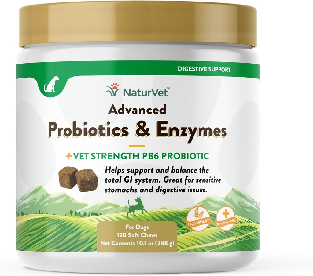 NaturVet Probiotiques et enzymes avancés, PB6 Chien doux Chews pour aider les ventres sensibles et les problèmes digestifs, Hickory fumé Bacon supplément d'animal aromatisé pour chiens sur 6 semaines, 120 Comte Jar