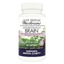 Défense de l'hôte MycoBotanicals Capsules Cerveau* - Supplément de soutien au cerveau avec le champignon Lion's Mane, Reishi & Cordyceps - Supplément à base de plantes pour le soutien de la mémoire et de la concentration - 60 capsules (30 portions)*