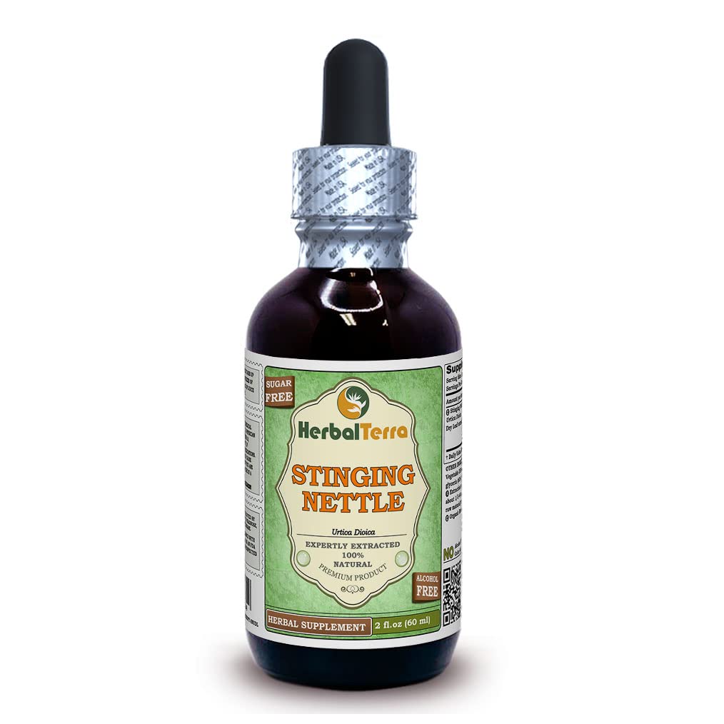 Herbal Terra LLC Stinging Nettle (Urtica Dioica) Glycérite, feuilles séchées organiques Extrait liquide sans alcool 2 oz