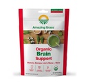 Amazing Grass Matcha Poudre pour le soutien et l'énergie du cerveau – Mélange de thé vert avec la crinière et les superaliments – à base végétale, sans sucre, smoothie ou mélange de latte pour Focus – 30 portions